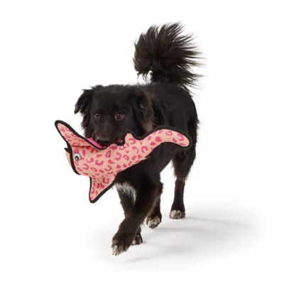 Joyhound 3D Rip Roarin' Stingray Tough Dog Toy - Image 3