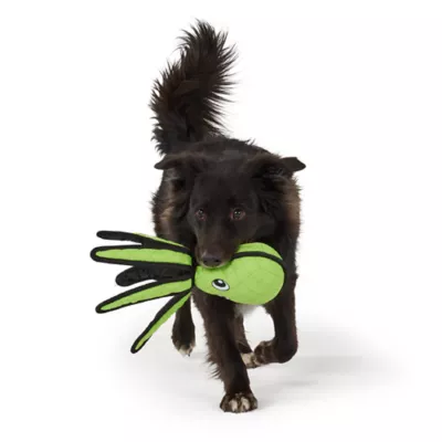 Joyhound 3D Rip Roarin' Octopus Tough Dog Toy - Image 3