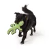 Joyhound 3D Rip Roarin' Lizard Tough Dog Toy image thumbnail 3