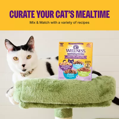 Wellness Appetizing Entrées Kitten Flaked Wet Food - Image 8