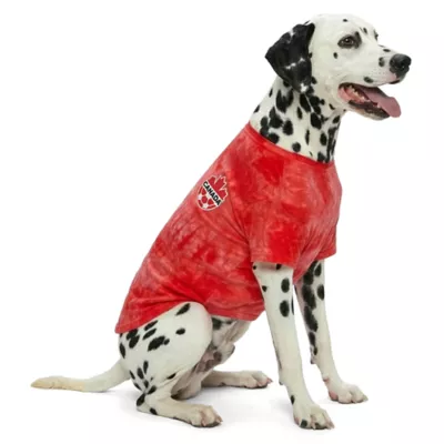 GMASON Team Canada Dog Red Tie Dye Tee - Image 1