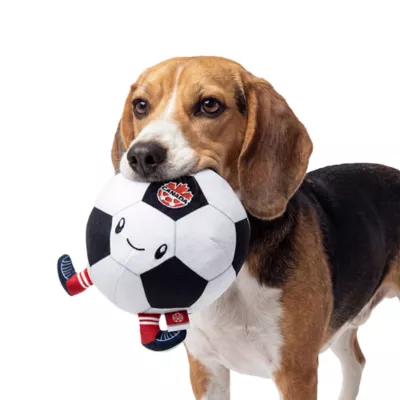 GMASON Team Canada Soccer Ball Dog Toy - Image 5
