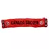 GMASON Team Canada Multi Squeaker Dog Toy image thumbnail 1