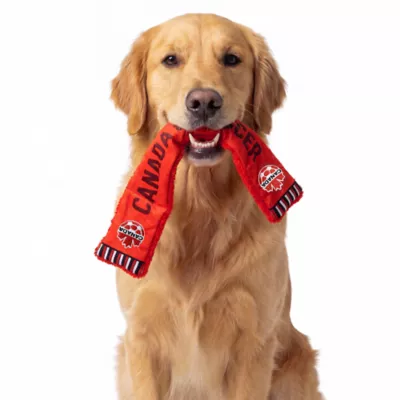 GMASON Team Canada Multi Squeaker Dog Toy - Image 5