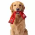 GMASON Team Canada Multi Squeaker Dog Toy image thumbnail 5