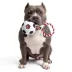 GMASON Team Canada Ball Rope Tug Dog Toy image thumbnail 5