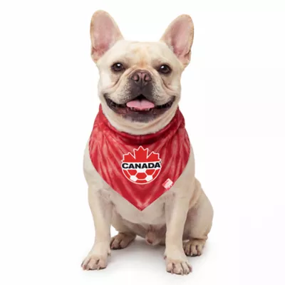 GMASON Team Canada Red Tie Dog Bandana - Image 1