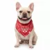 GMASON Team Canada Red Tie Dog Bandana image thumbnail 1