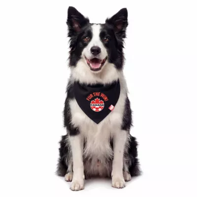GMASON Team Canada Dog Bandana - Image 1