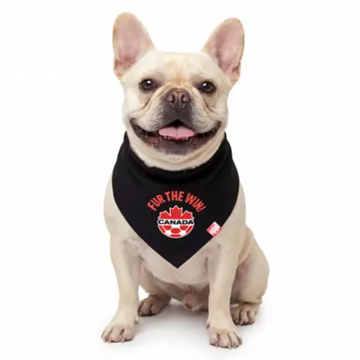 GMASON Team Canada Dog Bandana - Image 1