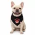 GMASON Team Canada Dog Bandana image thumbnail 1