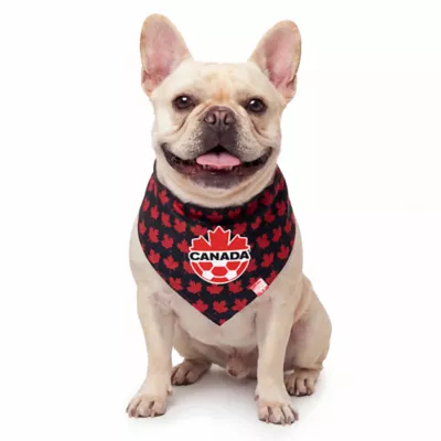 GMASON Team Canada Black Red Dog Bandana - Image 1