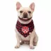 GMASON Team Canada Black Red Dog Bandana image thumbnail 1