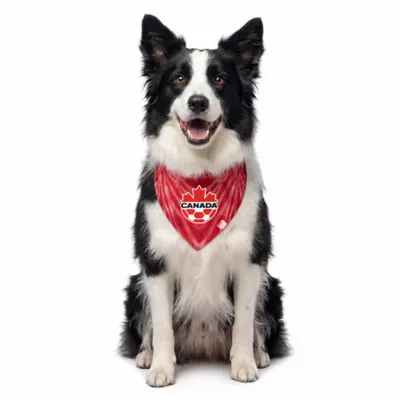 GMASON Team Canada Red Tie Dog Bandana - Image 1