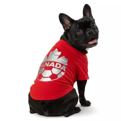 GMASON Team Canada Red Leaf Dog Tee - Image 1