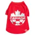 GMASON Team Canada Red Leaf Dog Tee image thumbnail 2