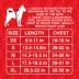 GMASON Team Canada Red Leaf Dog Tee image thumbnail 6