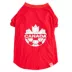 GMASON Team Canada Red Leaf Dog Tee image thumbnail 2