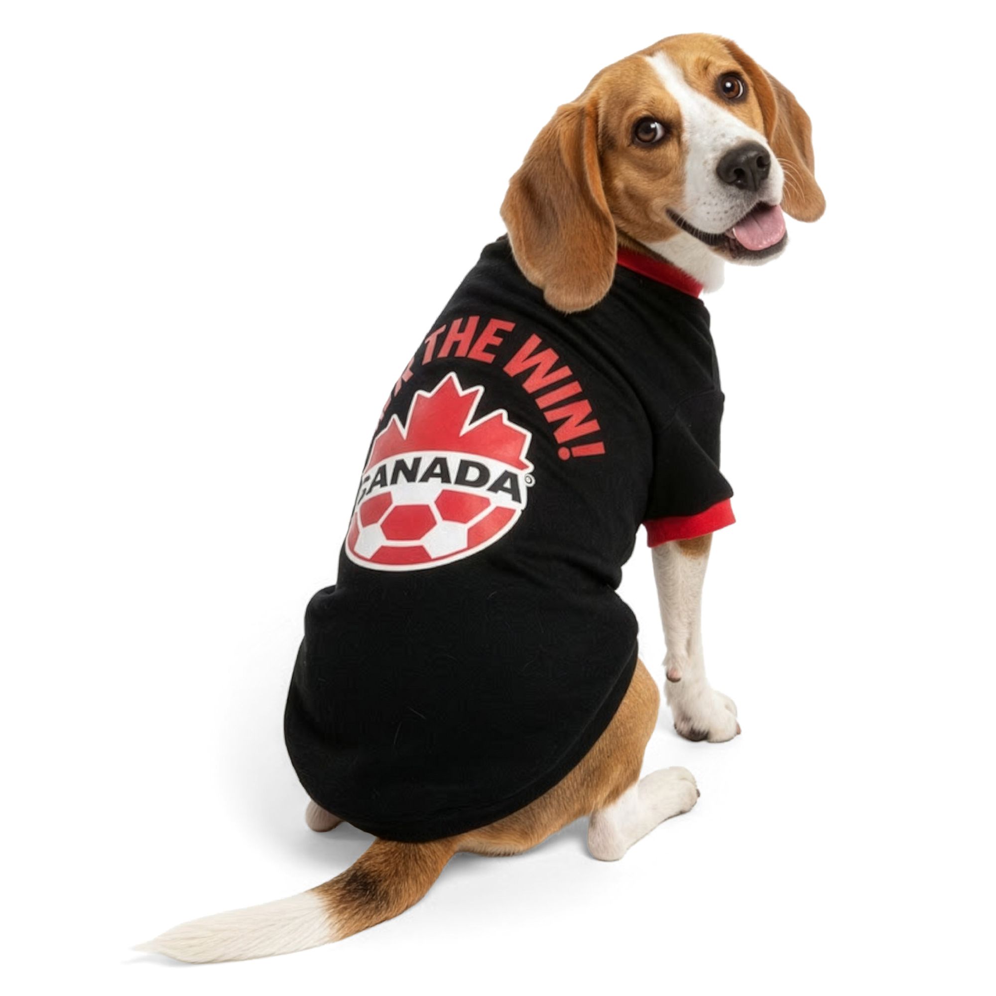 Team Canada collection