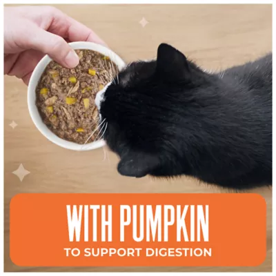Tiki Cat Friends Adult Cat Wet Food - In Broth, With Pumpkin, 2.8 Oz - Image 4