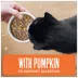 Tiki Cat Friends Adult Cat Wet Food - In Broth, With Pumpkin, 2.8 Oz image thumbnail 4