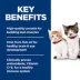 Hill's Science Diet Kitten Healthy Cuisine Roasted Chicken & Rice Medley Cat Wet Food image thumbnail 5