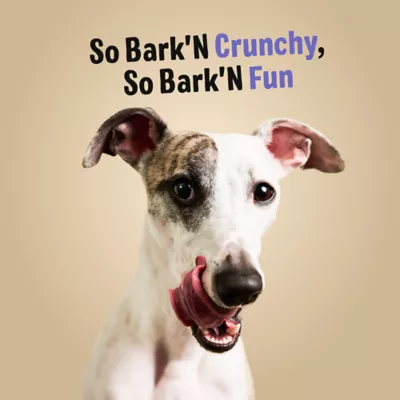 Three Dog Bakery Bark N' Crunch All Life Stages Dog Treats - Chicken Chips 8 oz - Image 6