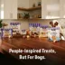 Three Dog Bakery Bark N' Crunch All Life Stages Dog Treats - Chicken Chips 8 oz image thumbnail 9
