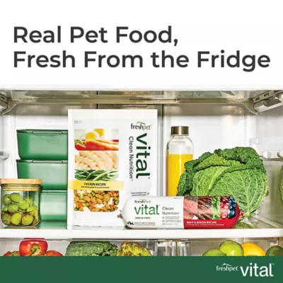 Freshpet Vital Grain Free Complete Meals Adult Fresh Dog Food - Beef & Lamb - Image 4