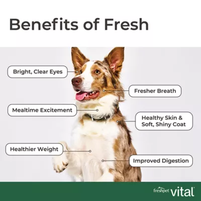 Freshpet Vital Grain Free Complete Meals Adult Fresh Dog Food - Beef & Lamb - Image 8