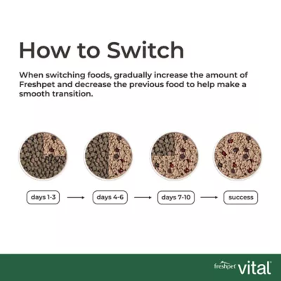 Fresh Pet Vital Adult Fresh Dog Food - Beef & lamb - Image 6