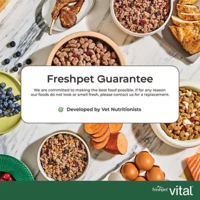 Fresh Pet Vital Adult Fresh Dog Food - Beef & lamb - Image 7