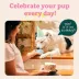 WOOF Pupsicle Treat-Dispensing Toy image thumbnail 6