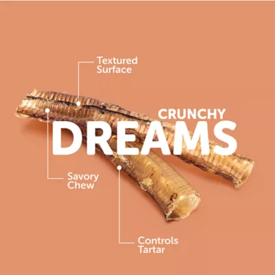 ROAM® Adult Dog Chews - Ostrich Trachea 2 ct - Image 5