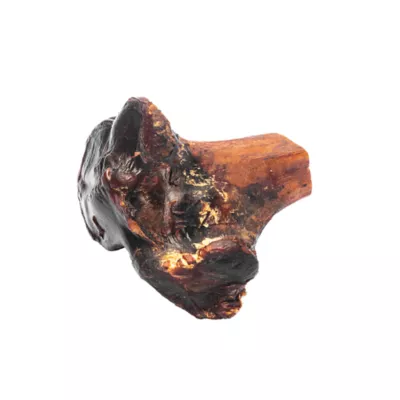 ROAM® Gnaw-kle Adult Dog Chew - Ostrich Bone 3 oz - Image 3