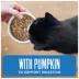Tiki Cat Friends Adult Cat Wet Food - In Broth, With Pumpkin, 2.8 Oz image thumbnail 4