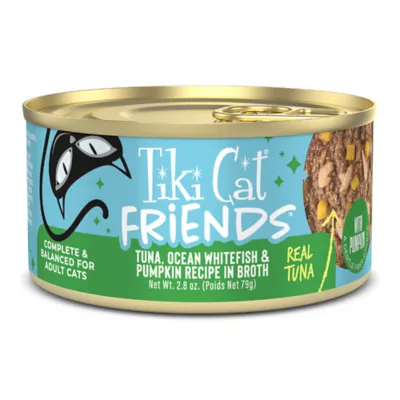 Tiki Cat Friends Adult Cat Wet Food - In Broth, With Pumpkin, 2.8 Oz - Image 1