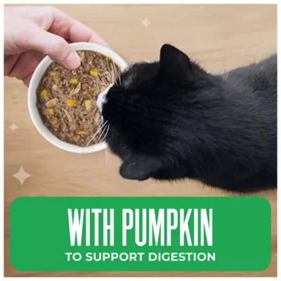 Tiki Cat Friends Adult Cat Wet Food - In Broth, With Pumpkin, 2.8 Oz - Image 4