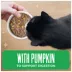 Tiki Cat Friends Adult Cat Wet Food - In Broth, With Pumpkin, 2.8 Oz image thumbnail 4