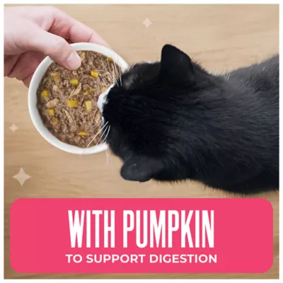 Tiki Cat Friends Adult Cat Wet Food - In Broth, With Pumpkin, 2.8 Oz - Image 4