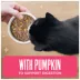 Tiki Cat Friends Adult Cat Wet Food - In Broth, With Pumpkin, 2.8 Oz image thumbnail 4