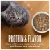 Tiki Cat Friends Adult Cat Wet Food - In Broth, With Pumpkin, 2.8 Oz image thumbnail 6