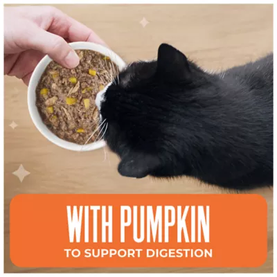 Tiki Cat Friends Adult Wet Cat Food - Grain Free, Fish With Pumpkin, Variety Pack, 12 Ct - Image 5