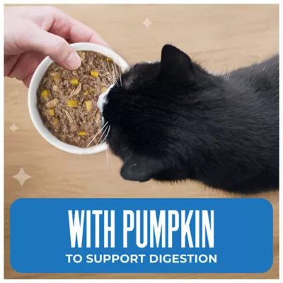 Tiki Cat Friends Adult Cat Wet Food - In Broth, With Pumpkin, 2.8 Oz Pouch - Image 4