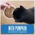 Tiki Cat Friends Adult Cat Wet Food - In Broth, With Pumpkin, 2.8 Oz Pouch image thumbnail 4