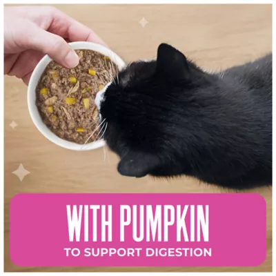Tiki Cat Friends Adult Wet Cat Food - Grain Free, Fish With Pumpkin, Variety Pack, 12 Ct Pouches - Image 5