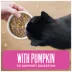 Tiki Cat Friends Adult Wet Cat Food - Grain Free, Fish With Pumpkin, Variety Pack, 12 Ct Pouches image thumbnail 5