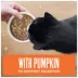 Tiki Cat Friends Adult Wet Cat Food - Grain Free, Fish With Pumpkin, Mega Pack, 36 Ct image thumbnail 5