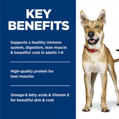 Hill's Science Diet Adult Chicken & Barley Entrée Wet Dog Food - Image 6