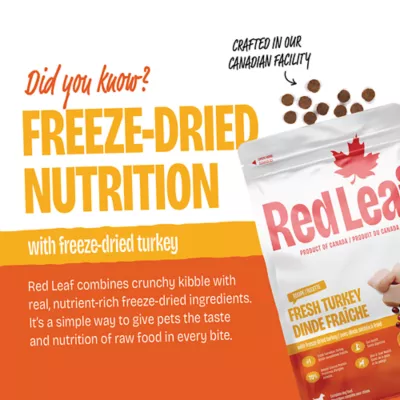 Red Leaf Fresh Turkey Dry Dog Food - Image 2